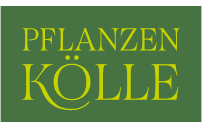Pflanzen-Kölle-128px