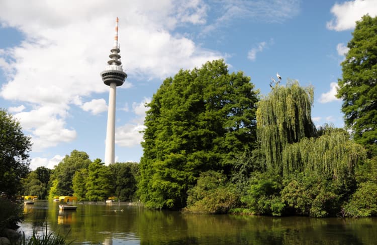 shutterstock 33909601-750x489-1